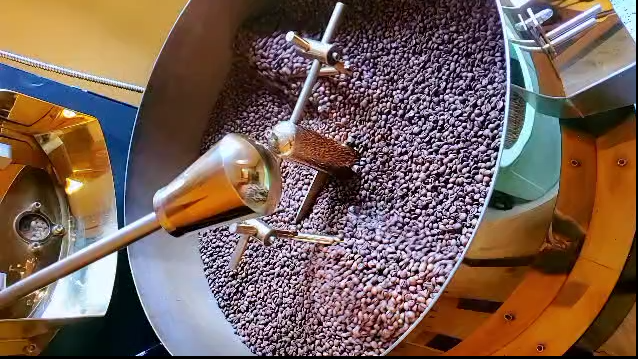 Premium roasted coffee beans