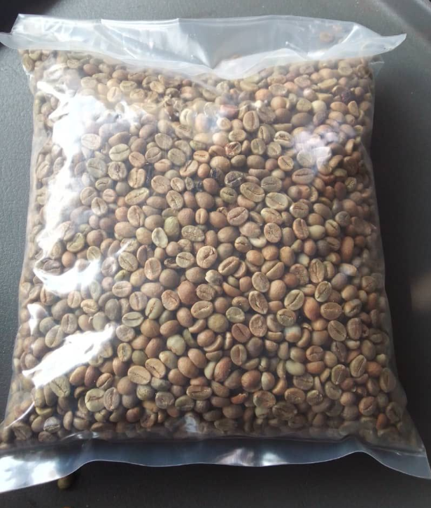 Green Robusta Beans